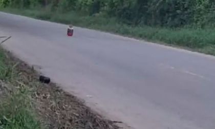 Valle y Cauca en alerta por terrorismo