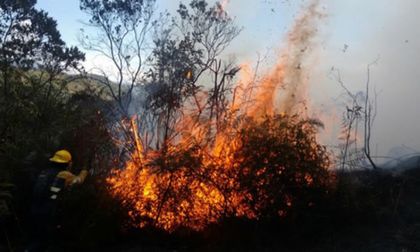 Imagen de  “Ahora el riesgo es de incendios forestales”: director del Dagrd sobre transición a la temporada seca