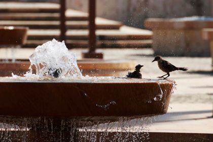Imagen de El Niño dispara los termómetros en el Caribe colombiano y amenaza a la población y el agua