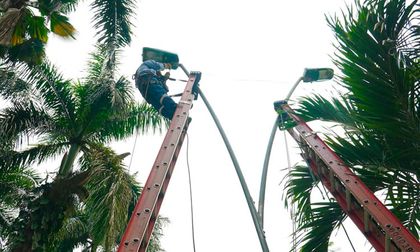 Emcali asumió el alumbrado público mientras avanza la definición de la fase 2