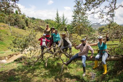 Imagen de  Priser, la estrategia en el Oriente para desarrollar proyectos ambientales con las comunidades rurales