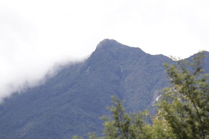 Imagen de  Comunidades del Oriente podrán desarrollar proyectos sostenibles en zonas protegidas de Cornare