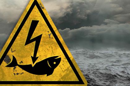 Bruselas prohíbe la pesca eléctrica en la Unión Europea a partir de 2021