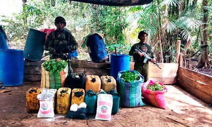 Golpe al narcotráfico en Pacífico nariñense