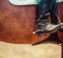 Investigan muerte de menor tras accidente con un caballo en Palmira