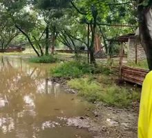 Creciente del río Cauca mantiene alerta naranja en Cali