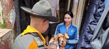 Imagen de  Inundaciones en Santa Cruz, Medellín: una perrita rescatada y más de 230 animales atendidos