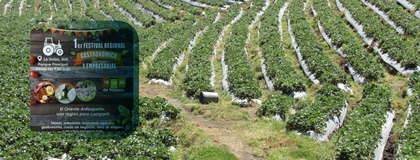 Imagen de  La Unión celebrará la primera versión del Festival Regional Gastronómico y Empresarial