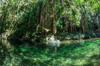 Imagen de ¿Quiere disfrutar del Río Melcocho? Conozca cómo agendar su ingreso
