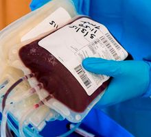 Déficit del 70 % en reservas de sangre, Cruz Roja Valle convoca jornada de donación