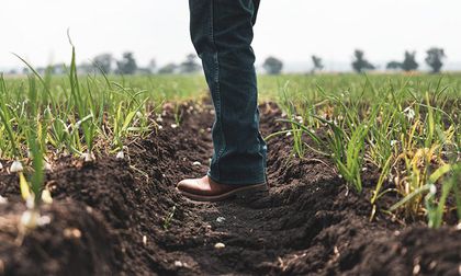 El agro colombiano creció 7,1 % en el primer trimestre