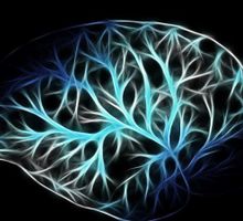 Optogenética: Qué es y por qué el Nobel de Medicina 2026 la reconoce