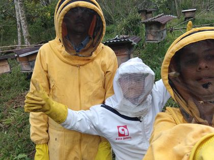 Imagen de  SanJoha, salvando abejas: el noble emprendimiento de una familia en San Luis