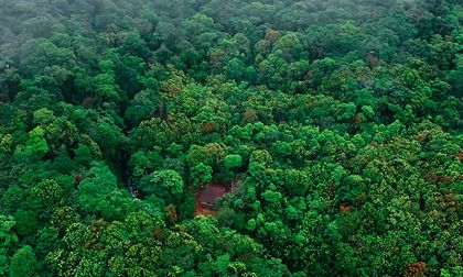 Banco de Hábitat ASOCASAN: Conservación liderada por la comunidad en el Chocó