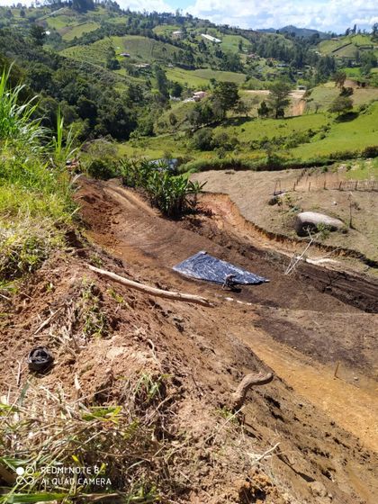 Imagen de  Por afectar nacimientos de agua y árboles nativos, suspenden construcción en Marinilla
