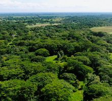$423 mil millones para proyectos ambientales