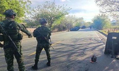 La Panamericana necesita seguridad permanente