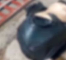 ¿Ritual de brujería en Cali?: encuentran cabra sin cabeza en bolsa de basura