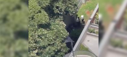 Imagen de  Tragedia en Medellín: un niño murió tras caer desde el piso 25 de un edificio