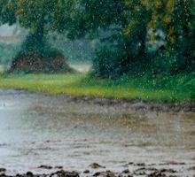 Habrá lluvias hasta abril y más calor