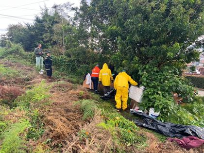 Imagen de Retiraron 20 cambuches en Marinilla durante operativos de seguridad y recuperación del espacio público