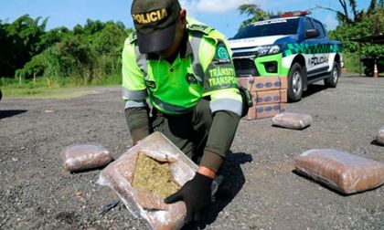 Incautan marihuana en Cauca con aromas y sabores frutales