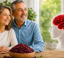Estudio en adultos mayores explora la relación entre el consumo de arándano rojo, la memoria y la función cerebral