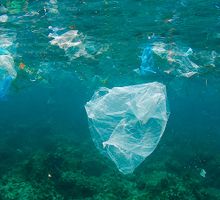 Plásticos en los océanos: cinco datos que explican el alcance de una contaminación global