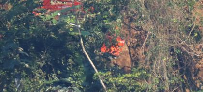 Imagen de  Comunidad alerta sobre construcción de vía sin permisos ambientales en Cañón del Melcocho