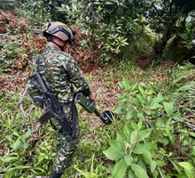 Ejército ha destruido más de 300 explosivos en Cauca