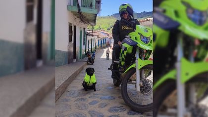 Imagen de  “Él es la adoración del pueblo”: la historia de Barbas, el perrito policía de Concepción