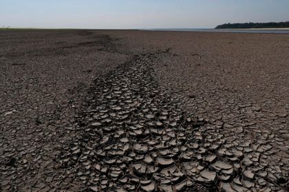 Imagen de  Latinoamérica vivió episodios de calor extremo «sin precedentes» en 2025, según la OMM