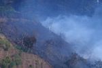 Imagen de En imágenes: avanza atención del incendio forestal en corregimiento San José de La Ceja