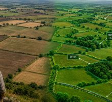 Google publica mapas vectoriales para restauración natural