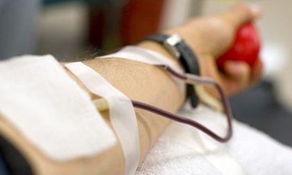 Imagen de  ¡A donar! UdeA recolectará sangre en El Santuario
