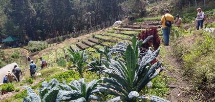 Imagen de  ‘Rutas de Siembra’, una apuesta por el agroturismo en el Oriente Antioqueño