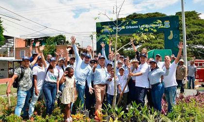 Valle cuenta con ocho millones de árboles sembrados