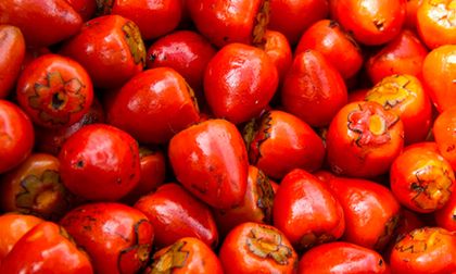 ¿Te gusta el chontaduro? Este domingo se celebra el día de este manjar