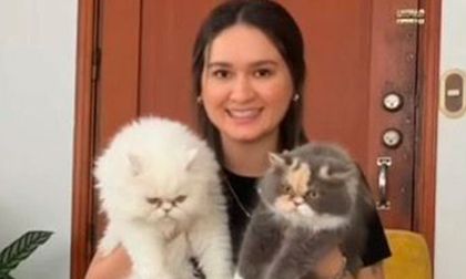 Mujeres que cuidan a quienes no tienen voz