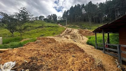 Imagen de  Riesgo latente en San Antonio de Prado: aumentaron a 82 las viviendas evacuadas por un deslizamiento