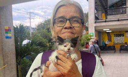 Captura por feminicidio en Cali: hijo de reconocida animalista María Nancy Díaz es enviado a prisión