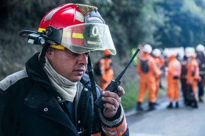Imagen de  ¿Por qué las monjas de La Presentación no dejaron entrar a los bomberos para rescatar un gato?