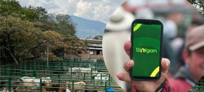 Imagen de  Desde Medellín, el ICA anunció la puesta en marcha de Sinigan 6, una herramienta tecnológica para el sector ganadero