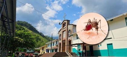 Imagen de  Reportan casos de dengue en el corregimiento de Puerto Venus, Nariño
