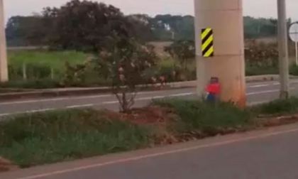 Nuevos hostigamientos en norte del Cauca generan zozobra