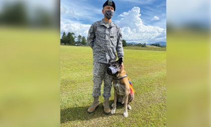 Imagen de Otto, el canino antiexplosivos que fue despedido con honores por el CACOM-5