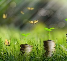 COP 16: Datos y cifras del Consejo Colombiano de Seguridad (CCS)