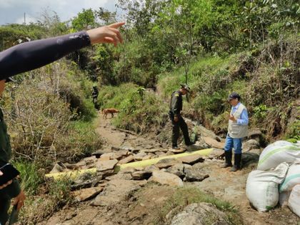 Imagen de Suspendieron construcción ilegal de vía en corredor ecológico de San Rafael