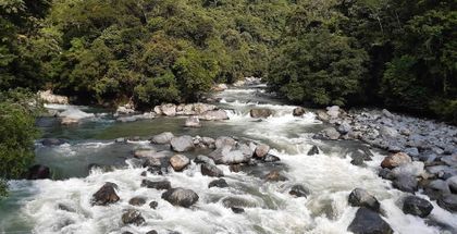 Imagen de  Hombre de 35 años murió ahogado en un río de Cocorná