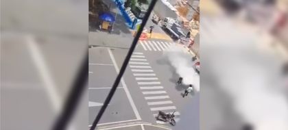 Imagen de  Ataque masivo de abejas dejó 31 personas afectadas en Barbosa